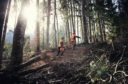 Stihl recuerda que el mejor momento para prepararse contra los incendios forestales es ahora
