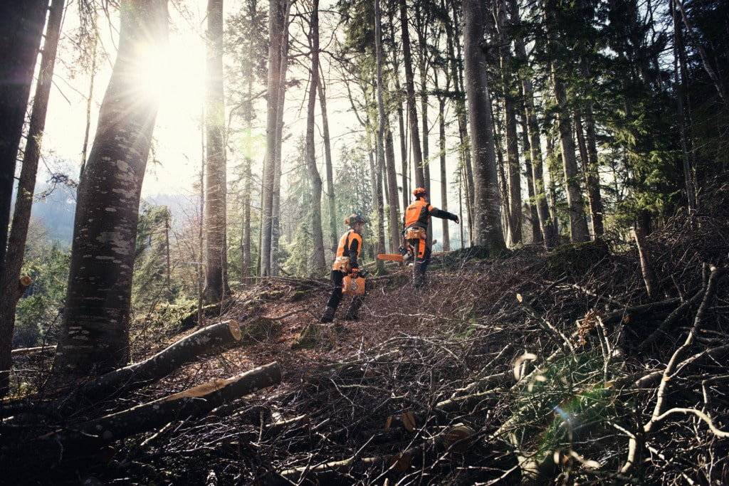 Stihl recuerda que el mejor momento para prepararse contra los incendios forestales es ahora