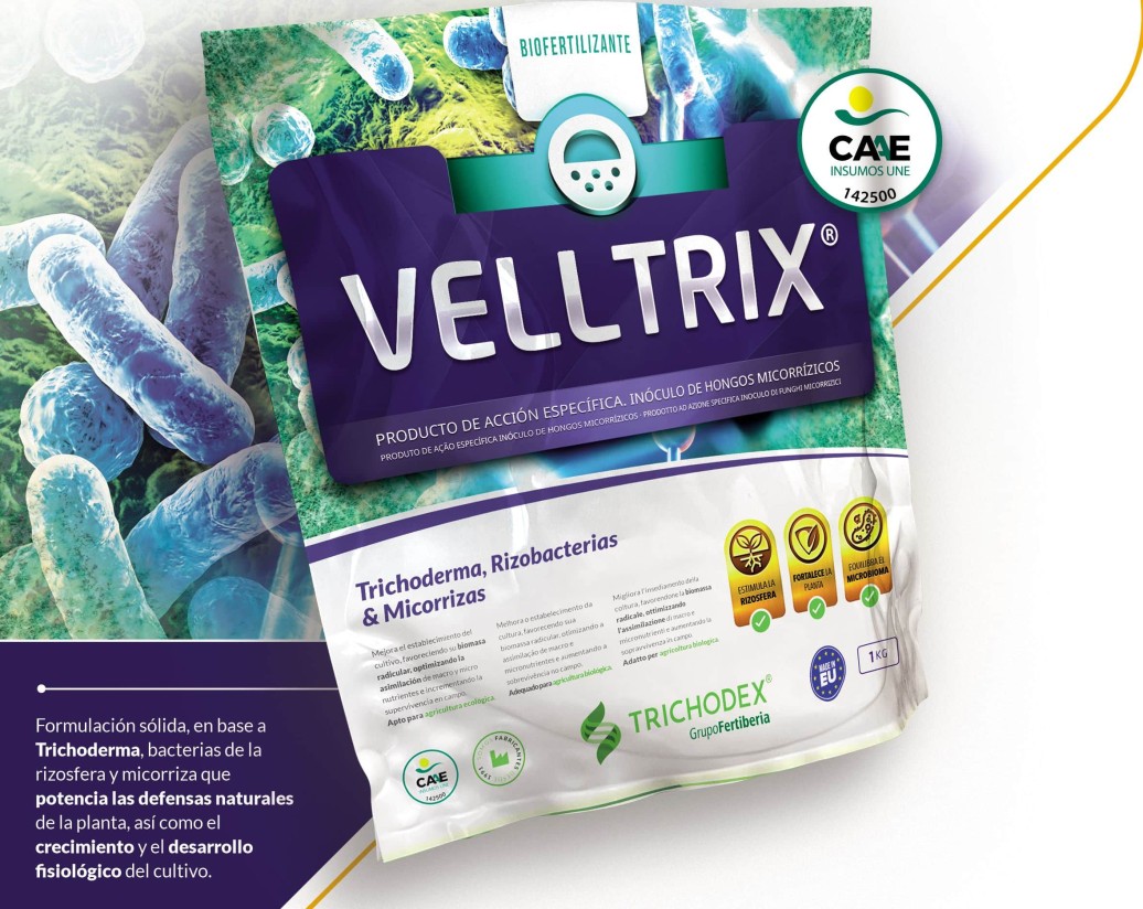 Mejora las defensas naturales de los cultivos con Velltrix, de Trichodex