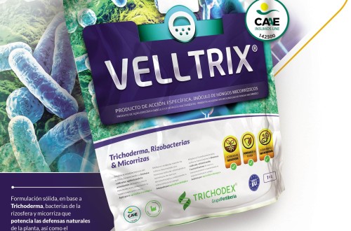 Mejora las defensas naturales de los cultivos con Velltrix, de Trichodex