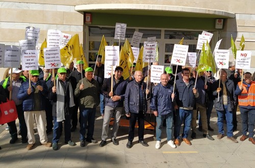 AVA-ASAJA, La UNIÓ y ASAJA Alicante piden a Agroseguro un acuerdo para recuperar y ampliar coberturas