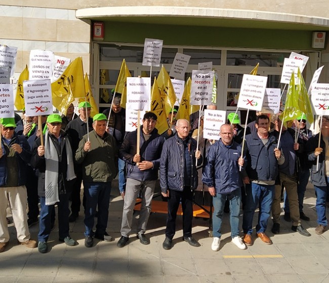 AVA-ASAJA, La UNIÓ y ASAJA Alicante piden a Agroseguro un acuerdo para recuperar y ampliar coberturas