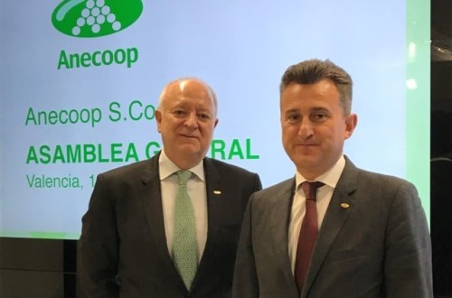 Anecoop factura 823,6 M€, un 4% más, en uno de sus ejercicios más complejos