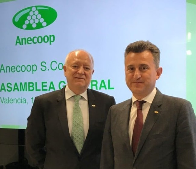 Anecoop factura 823,6 M€, un 4% más, en uno de sus ejercicios más complejos