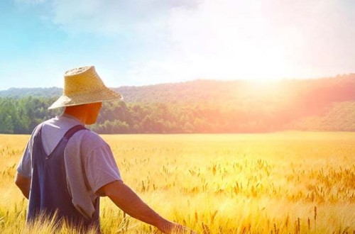 Muchos jubilados del campo dejan la actividad por los requisitos y mayor complejidad de la nueva PAC