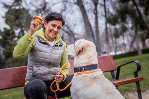 MSD Animal Health renueva el Certificado EFR de la Fundación Más Familia