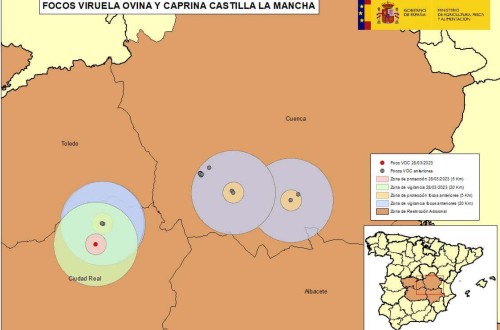 Nuevo foco de Viruela Ovina y Caprina con 1.410 animales afectados en Alcázar de San Juan (Ciudad Real)
