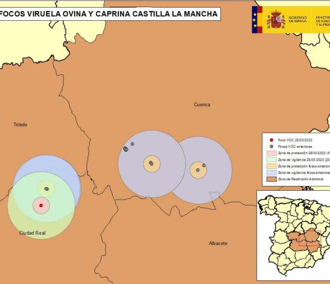 Nuevo foco de Viruela Ovina y Caprina con 1.410 animales afectados en Alcázar de San Juan (Ciudad Real)