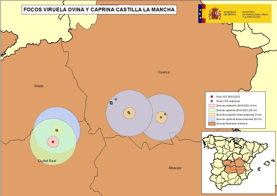 Nuevo foco de Viruela Ovina y Caprina con 1.410 animales afectados en Alcázar de San Juan (Ciudad Real)