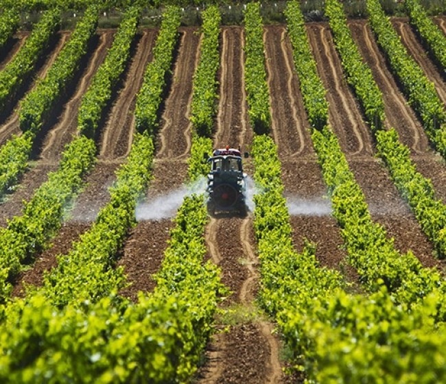 Unos 234.291 agricultores recibirán en abril casi 281 M€ para compensar el fuerte alza de precios de los fertilizantes
