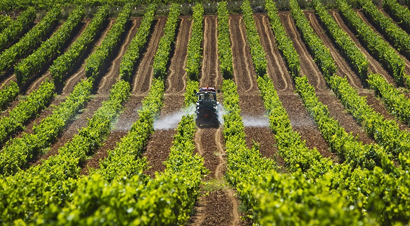 Unos 234.291 agricultores recibirán en abril casi 281 M€ para compensar el fuerte alza de precios de los fertilizantes