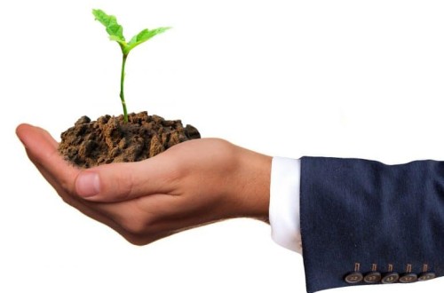 SAECA avaló cerca de 7.500 nuevos préstamos a agricultores y ganaderos en 2022