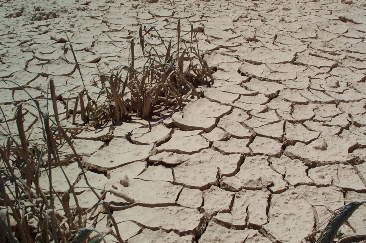 La revisión y actualización de los Planes Especiales de Sequía, a consulta pública