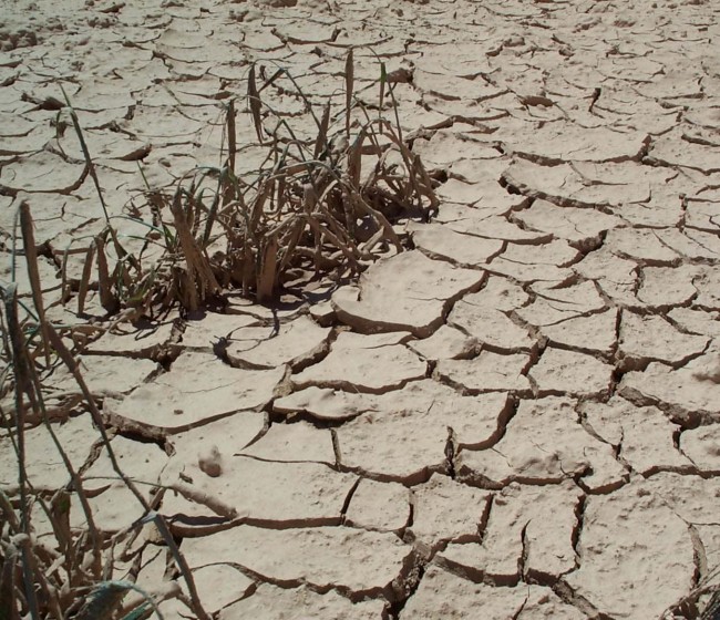 La revisión y actualización de los Planes Especiales de Sequía, a consulta pública