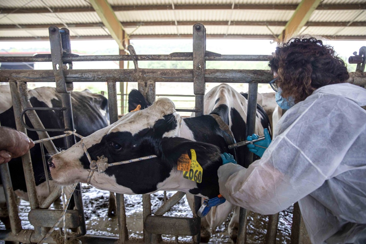 El Ministerio de Agricultura convoca 121 plazas para funcionarios del Cuerpo Nacional Veterinario