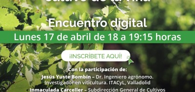 Vida Rural organiza un webinar sobre Manejo agronómico y sostenibilidad de la viña