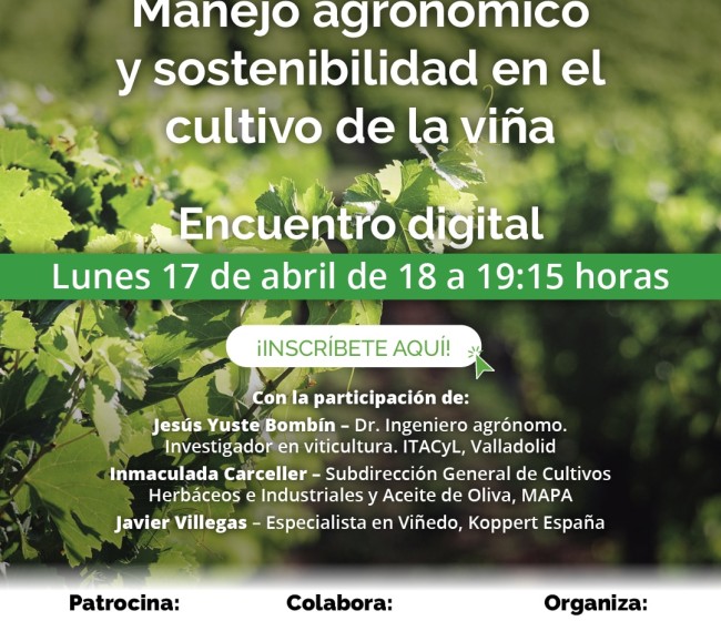 Vida Rural organiza un webinar sobre Manejo agronómico y sostenibilidad de la viña