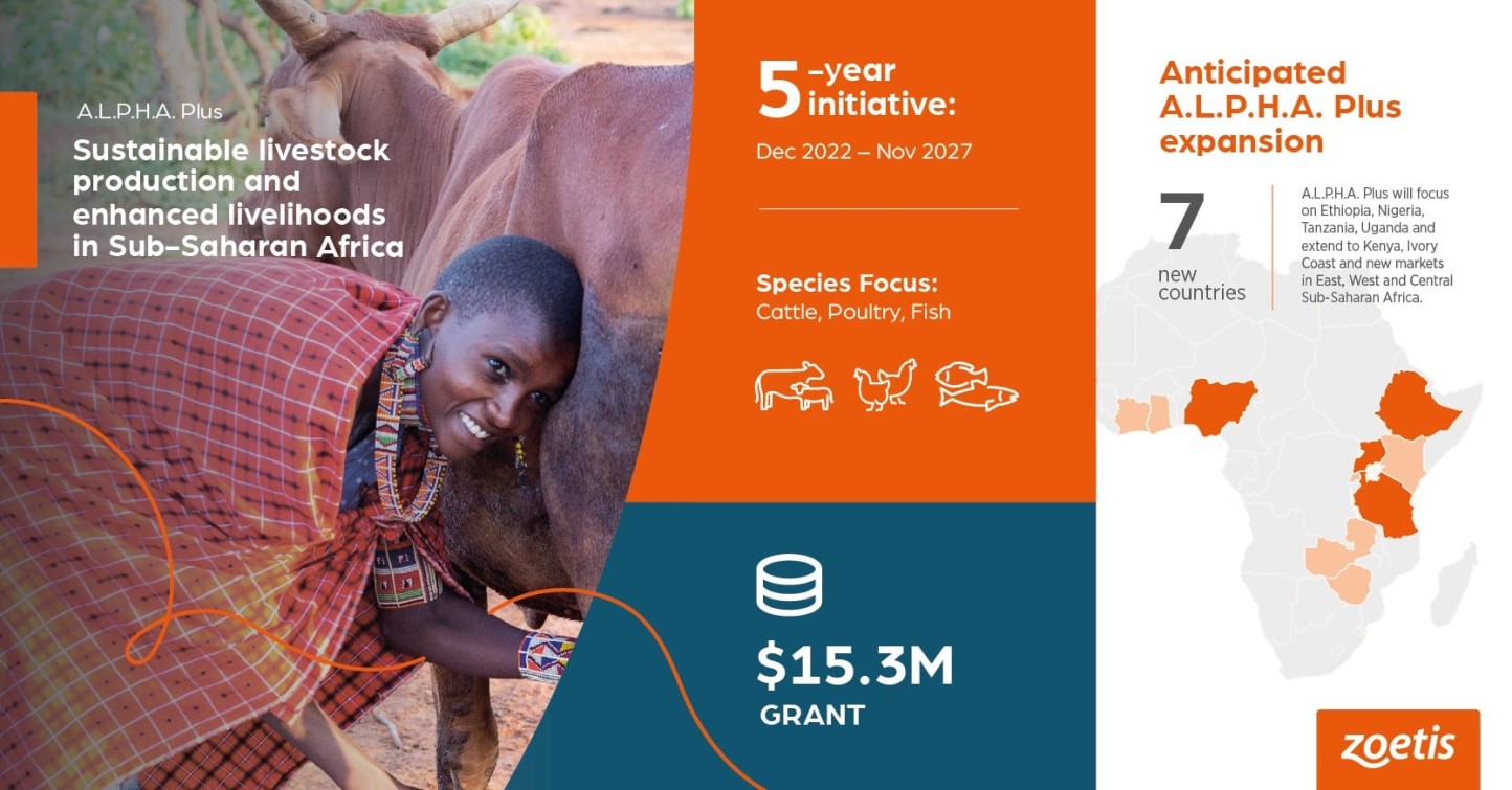 Zoetis recibe 15,3 millones de dólares para mejorar la sostenibilidad ganadera en África