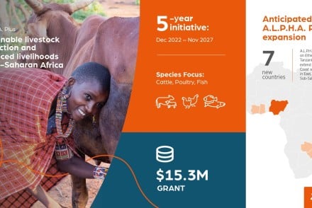 Zoetis recibe 15,3 millones de dólares para mejorar la sostenibilidad ganadera en África