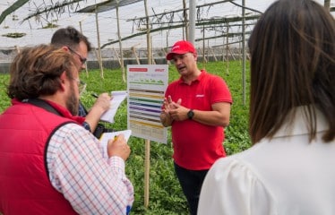 La aplicación de un plan nutricional completo de Brandt genera hasta 15.000 kg/ha más de sandía