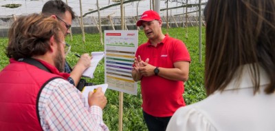 La aplicación de un plan nutricional completo de Brandt genera hasta 15.000 kg/ha más de sandía