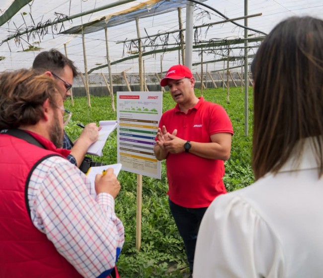 La aplicación de un plan nutricional completo de Brandt genera hasta 15.000 kg/ha más de sandía