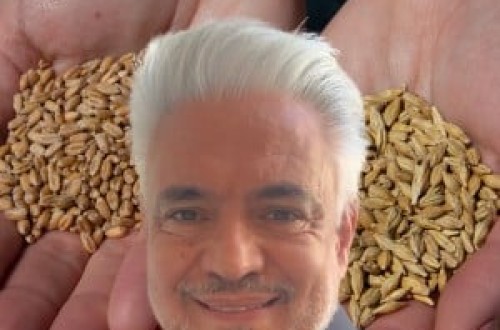 Exceso de oferta en los mercados internacionales de grano. Por José Murillo