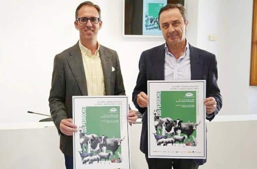 La Feria Agroganadera de Los Pedroches expondrá más de 1.000 cabezas de ganado