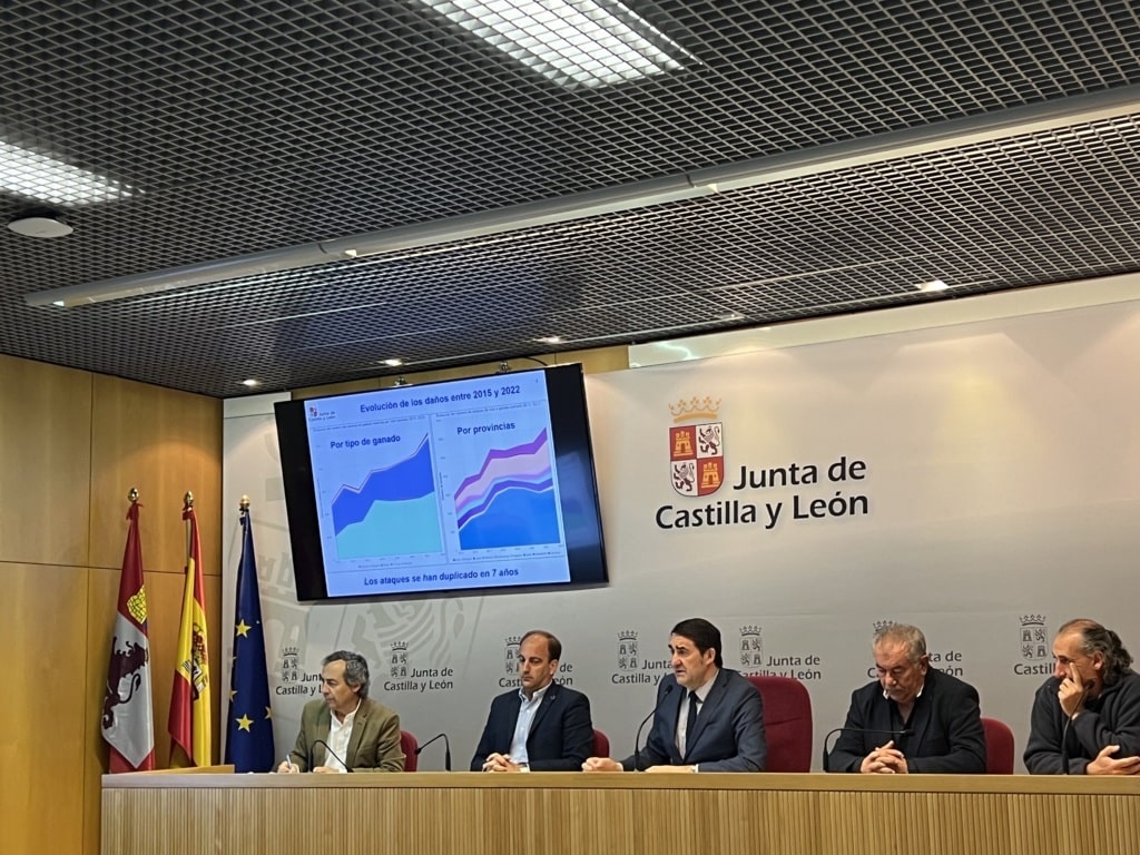 Castilla y León duplicará las indemnizaciones por daños del lobo a la ganadería e incluirá el Norte del Duero