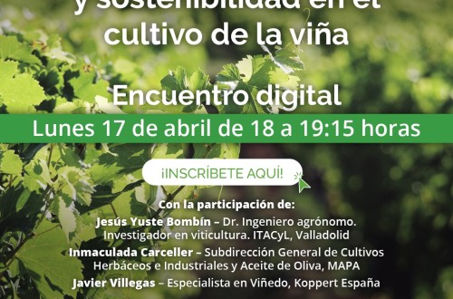 Vida Rural organiza el 17 de abril un webinar sobre Manejo agronómico y sostenibilidad de la viña