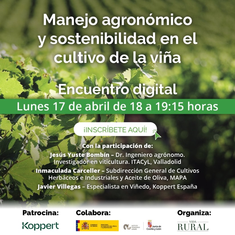 Vida Rural organiza el 17 de abril un webinar sobre Manejo agronómico y sostenibilidad de la viña