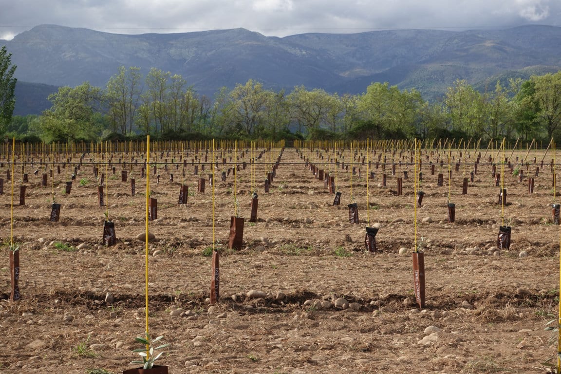 Balam Agriculture impulsa el Rural Innovation Hub de La Vera