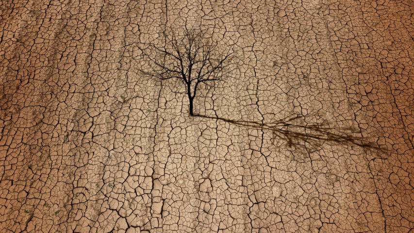 Informe COAG: la sequía asfixia ya al 60% del campo español
