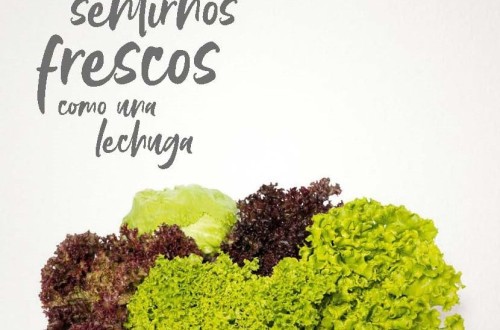 «Somos Vida», los obtentores reivindican la importancia de la mejora vegetal