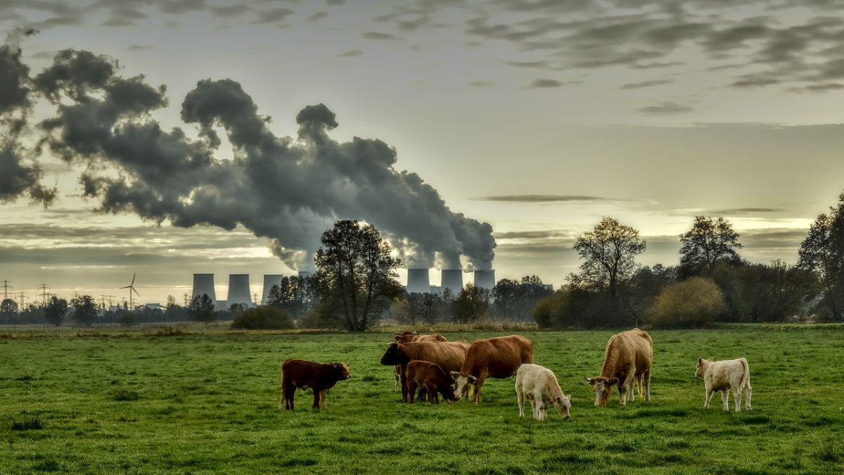 El Parlamento Europeo aprueba las normativas clave para reducir al menos un 55% las emisiones de GEI en 2030