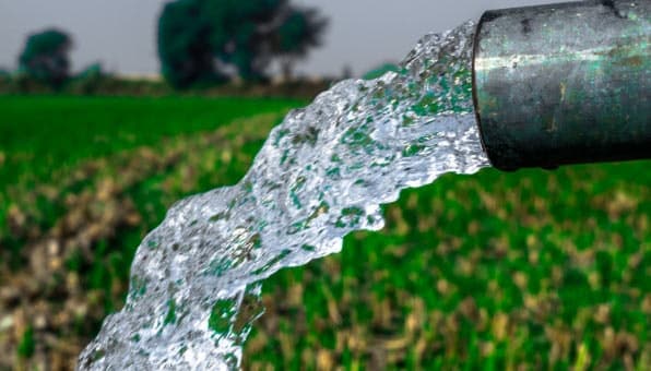 Los regantes urgen al Gobierno a que apruebe ya un decreto-ley de Sequía para paliar el “drama actual del sector agrario”