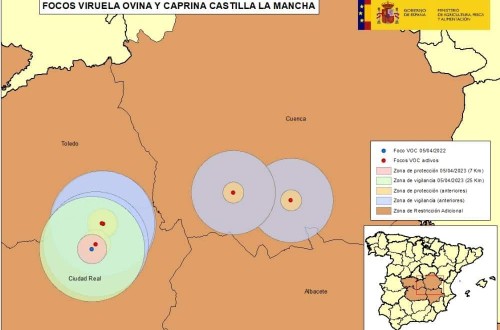 Sexta explotación de ovino-caprino afectada por la enfermedad de la VOC en Alcázar de San Juan, Ciudad Real