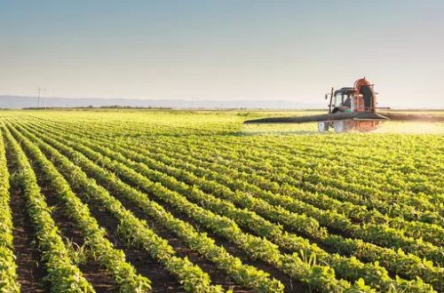 Plaguicidas: un 96,1% de las muestras de alimentos analizadas en la UE, dentro de los límites de residuos legalmente permitidos