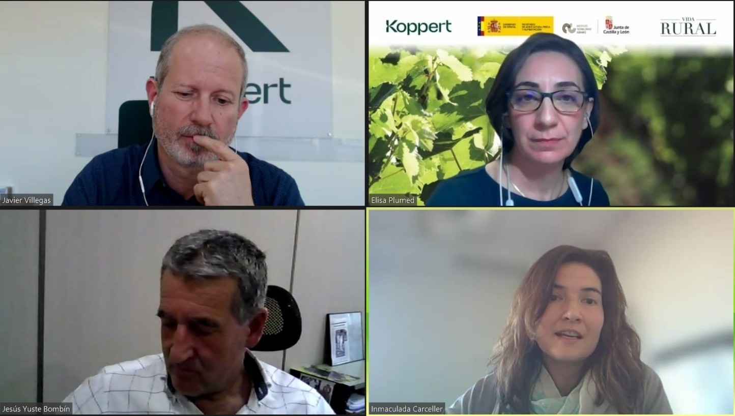 Expertos analizan diversos factores del manejo agronómico y la sostenibilidad de la viña en el último webinar de Vida Rural