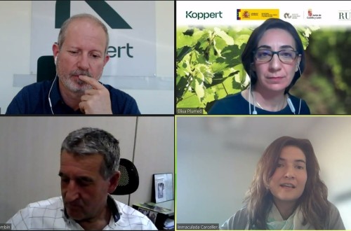 Expertos analizan diversos factores del manejo agronómico y la sostenibilidad de la viña en el último webinar de Vida Rural