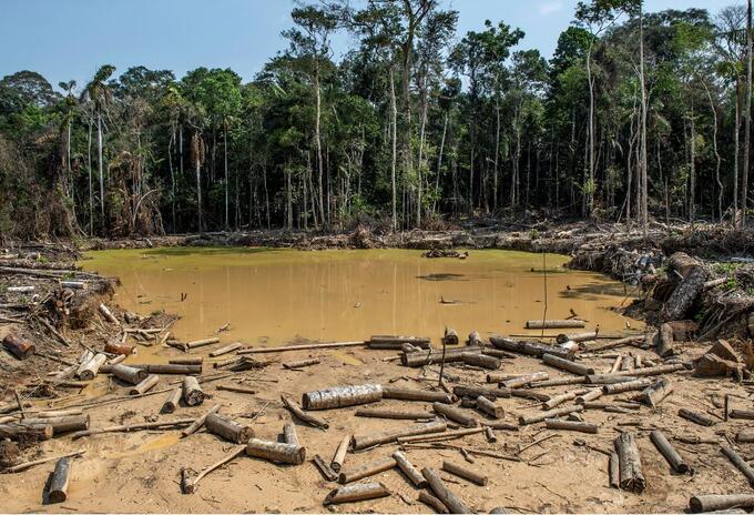 Visto bueno definitivo del Consejo UE a las normas para reducir la deforestación “importada”