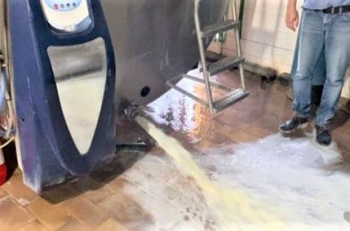 Ganaderos andaluces tiran su leche en protesta por la bajada de precios en origen impuesta por la industria