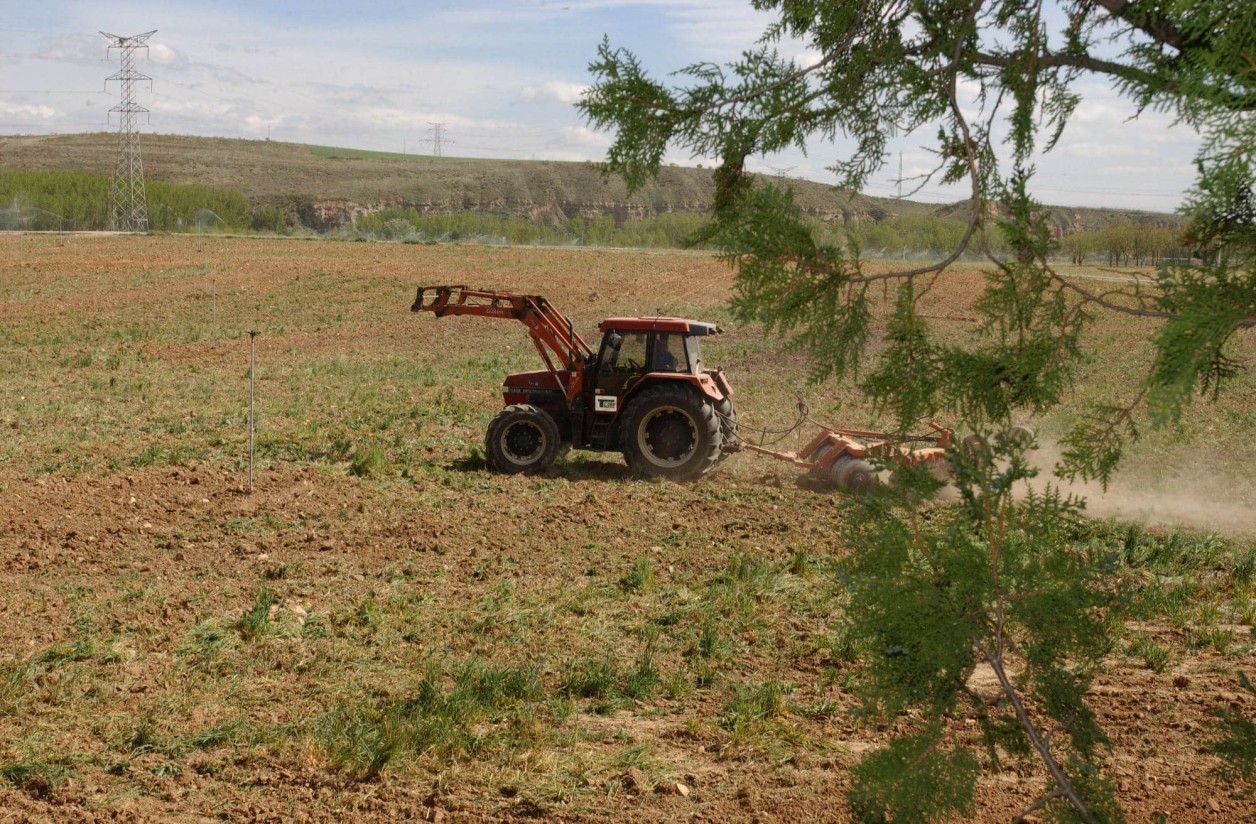 Agroseguro estima ya 300 M€ de indemnizaciones por daños por sequía en cultivos herbáceos de secano asegurados