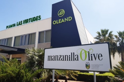 Oleand Manzanilla Olive, S.C.A., Premio AEMO a la Mejor Almazara de España 2023
