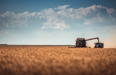 Cooperativas prevé apenas 9,1 Mt de cosecha de cereales por la sequía en 2023/24