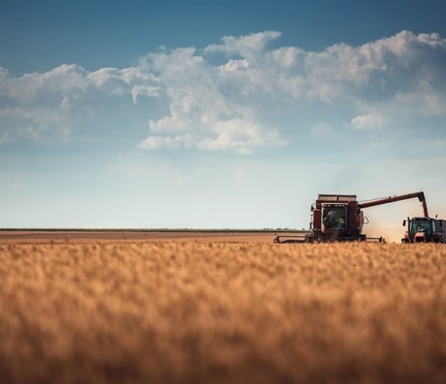Cooperativas prevé apenas 9,1 Mt de cosecha de cereales por la sequía en 2023/24