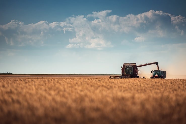 Cooperativas prevé apenas 9,1 Mt de cosecha de cereales por la sequía en 2023/24