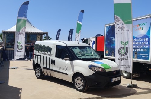 El pepino francés Bejo 3670 y la judía verde Gloria, entre las novedades de Bejo en Infoagro