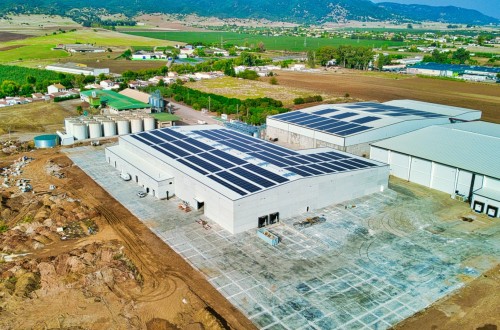 El Grupo Dcoop facturó un récord de 1.237 M€ en 2022, pero espera un fuerte descenso este año