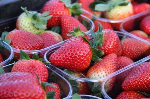 Satisfacción en Freshuelva a quedar los frutos rojos fuera de la obligatoriedad de ser vendidos a granel
